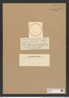 Actinocyclus pellucidus Castr. (de-Toni-Nr.: Genus 195, Species 4794) Zeichnungen Sammlung Grunow Nr. 8441 (NHMW-BOT-W0377893)